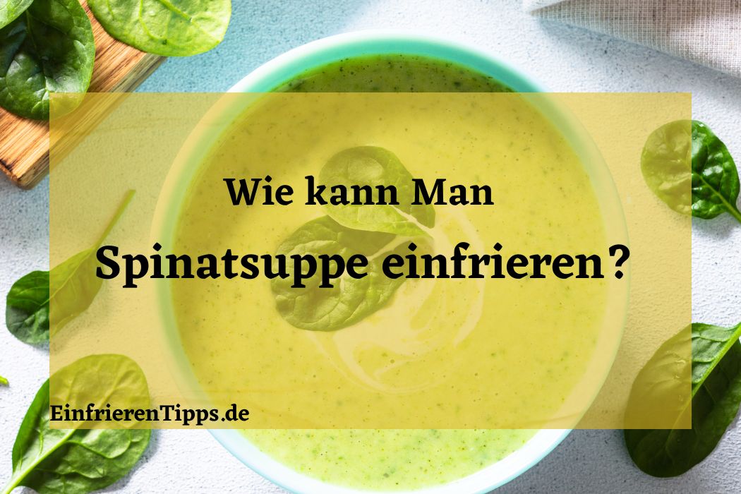 Gesund &amp; schnell: Spinatsuppe einfrieren 🍵🕒 | Einfrieren Tipps