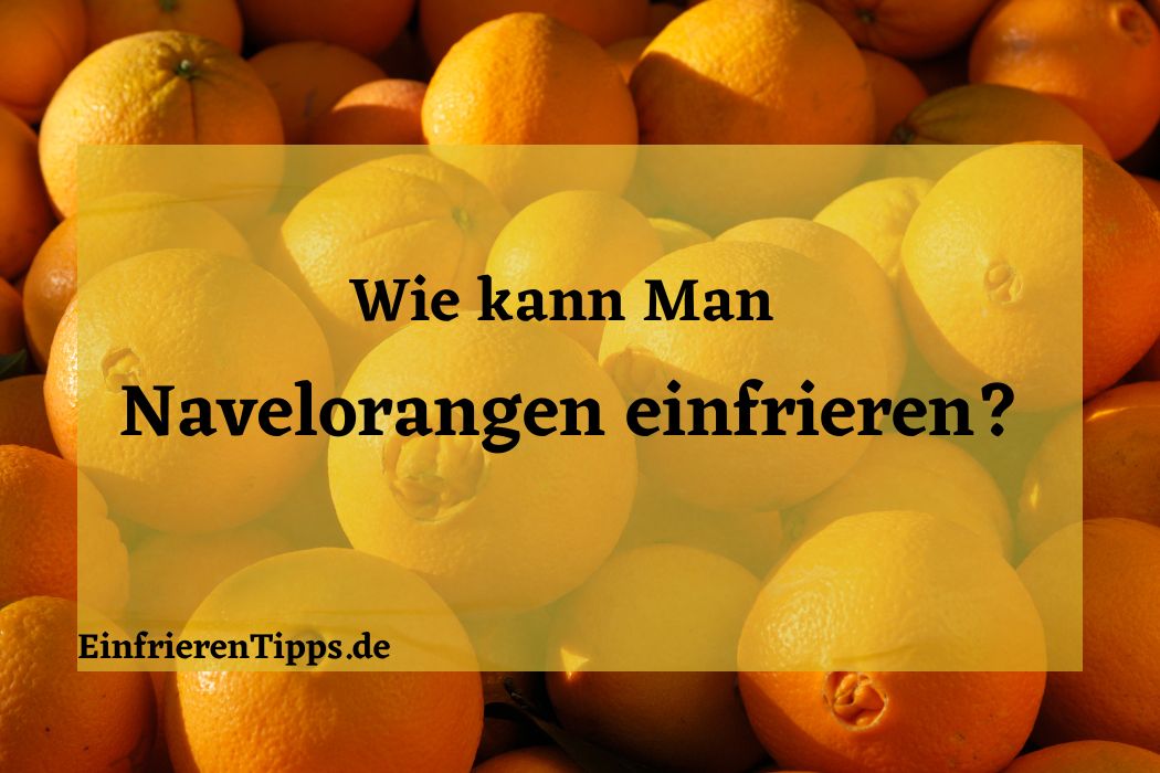 Frische bewahren Kann man Salat einfrieren? Einfrieren Tipps