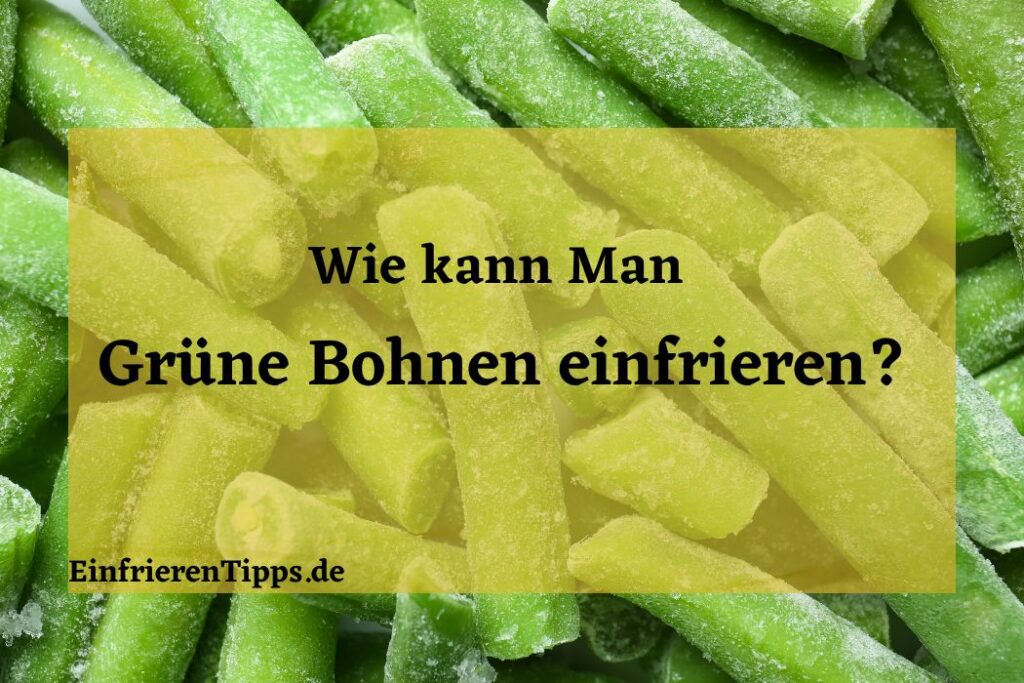 Sauerkraut einfrieren So bleibt es frisch und lecke Einfrieren Tipps