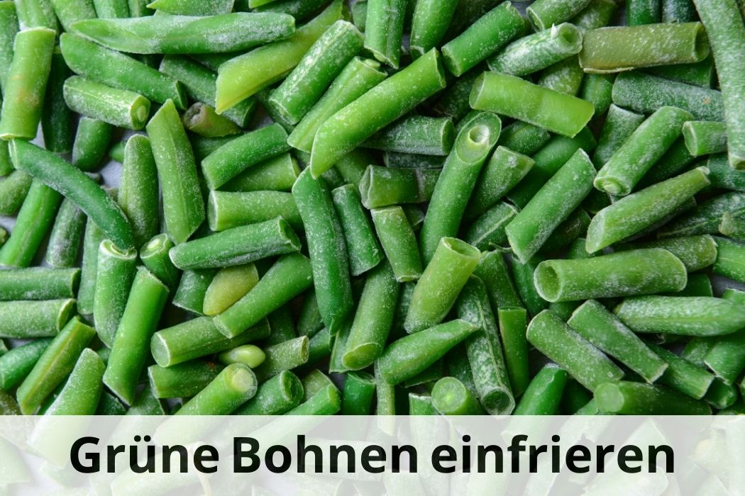 Immer frische grüne Bohnen Einfrieren & später verwenden Einfrieren Tipps